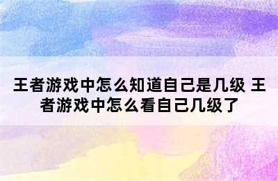 王者游戏中怎么知道自己是几级 王者游戏中怎么看自己几级了